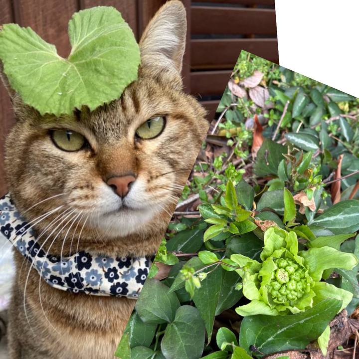 10bbe65d 9a0a 40a1 9d6a 916e1706040e 1772240988436