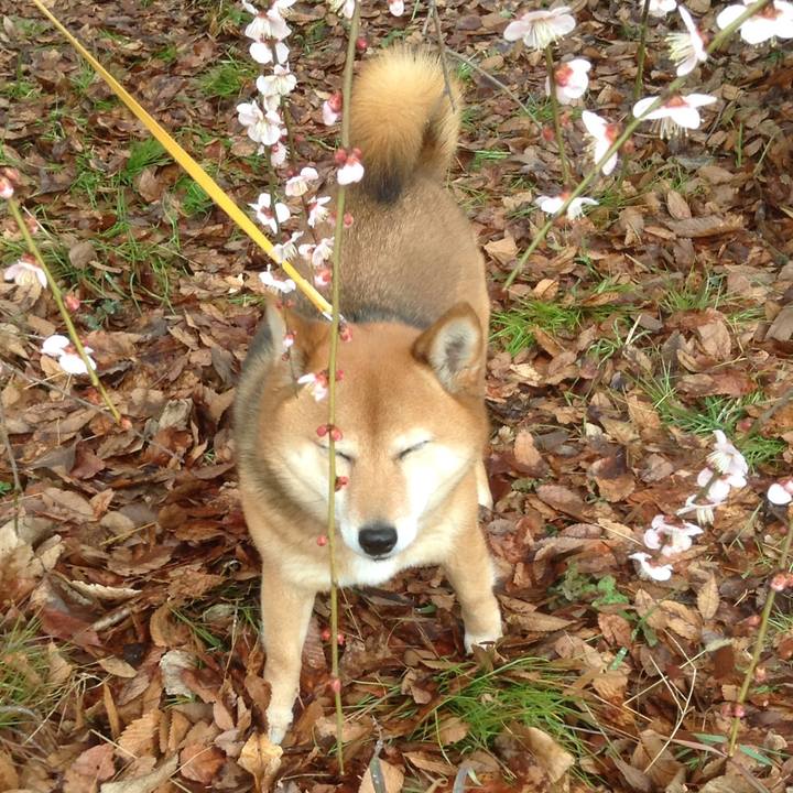 10bbe6ee 48fc 499b 89ce c5f5cb465e9e 1519363105234