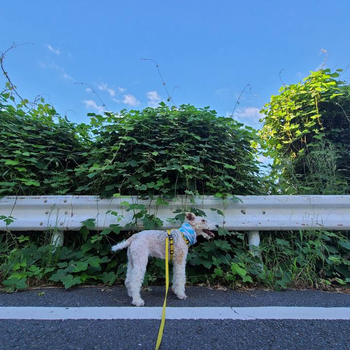 10bc2b5f 7b1e 4946 a68b 18f0f9e5e114 1661676136367