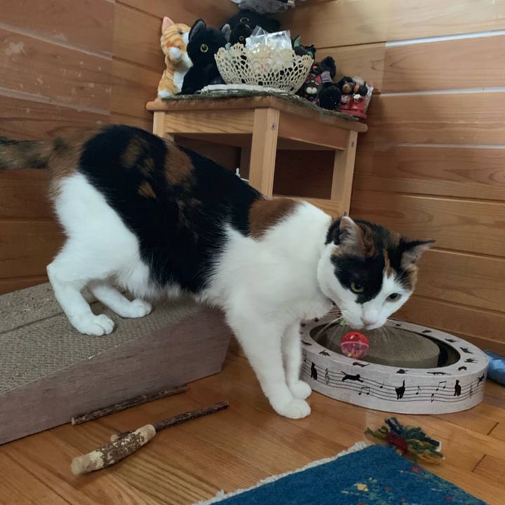 10bc440f 6e8f 40e8 a10e fda060188de9 1562140922805