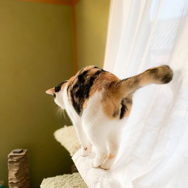 10bc4641 21d0 49fd 911b 57f6262b34bf 1578881415005