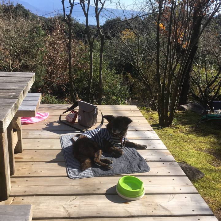 10bc5f12 bb2e 43fa ad69 b7f9096d86d5 1545718894667