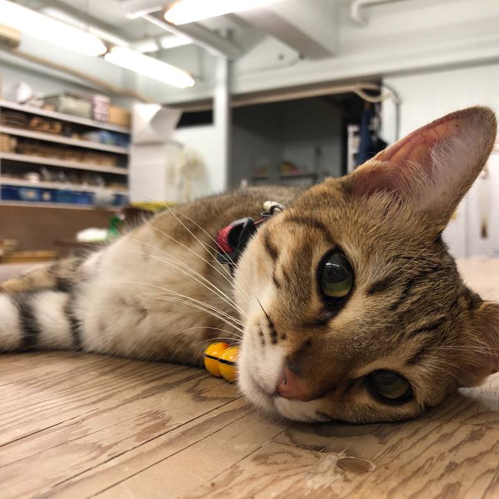 10bc69d3 92f8 4ea3 b85c 0a65eaaedfe3 1593996576621