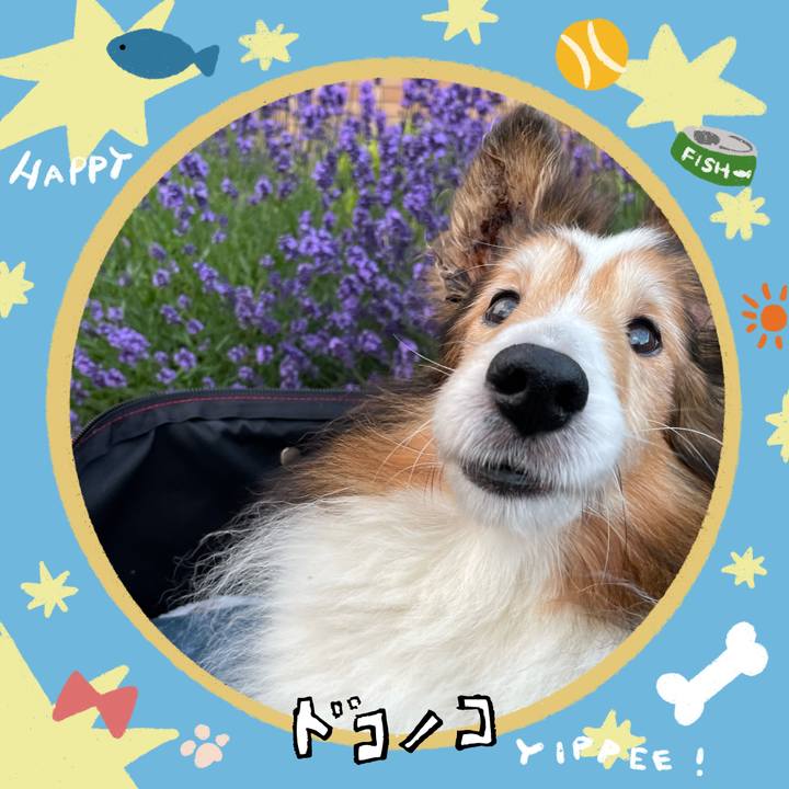 10bc6cbc ee8d 42e7 9c66 2bb8b4a30798 1720925726328