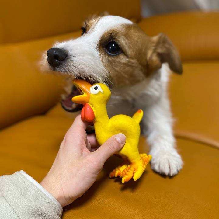 10bcd4c1 46ae 4b15 8062 e105e443d6f3 1676034626336