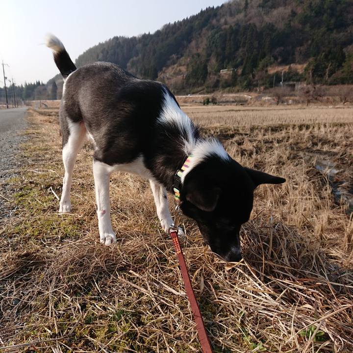 10bcff7d 5abd 4154 abe9 c6708de7ce01 1519618526027