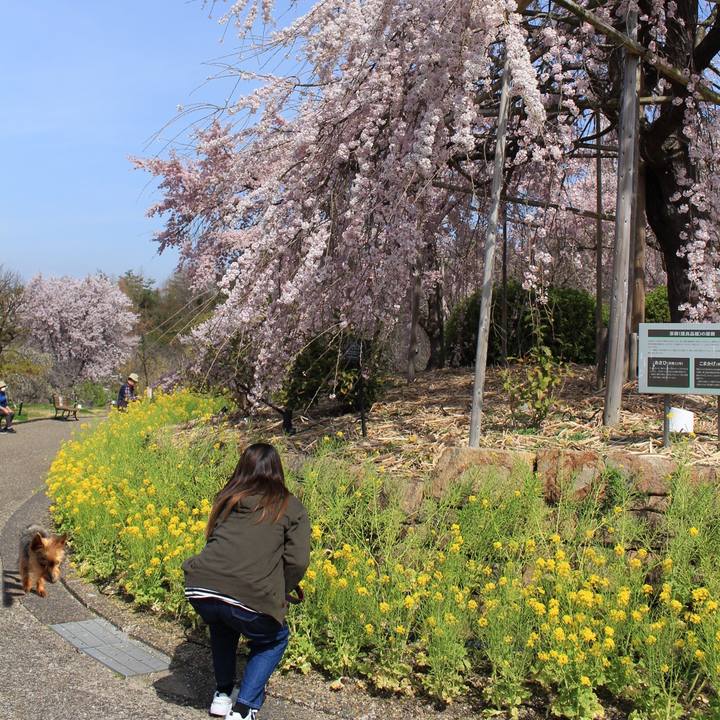 10bd1ed4 9716 44fc a6c8 c3a918b03aa0 1648702002786