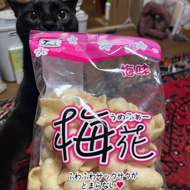 10bd2beb c31a 474e 803b c6deaa07acb1 1733824959745