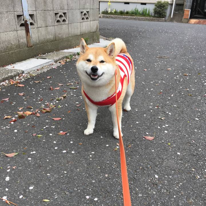 10bd3ae7 838d 4bf6 b838 73ff12d19f55 1555213500403