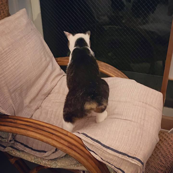 10bd562d e07b 48ef bf54 ec7586b46f1c 1594905388907