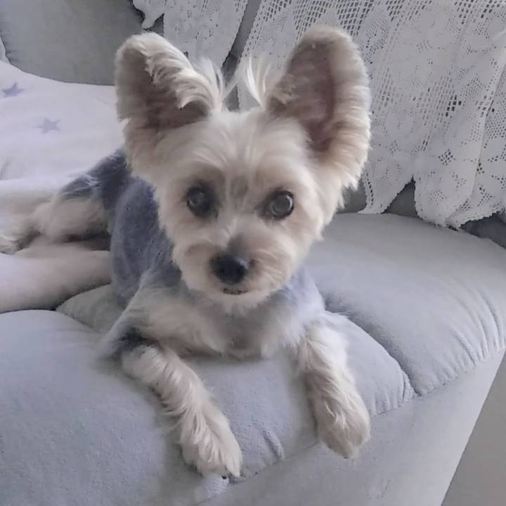 10bd5b03 dd43 4b31 986a 94186ce33ded 1693312941960