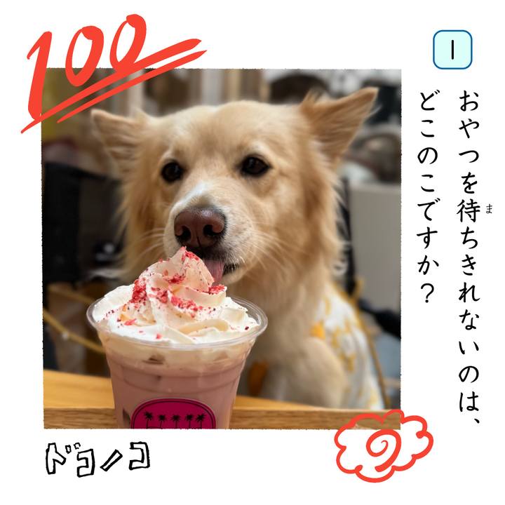10bd99c5 3b06 41d6 8f22 5ac0a976ef42 1744440068558