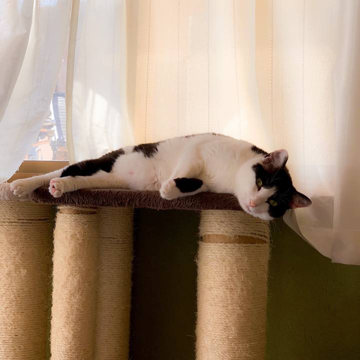 10bd9cd9 e042 4701 be33 1cb29294eda7 1562466848187