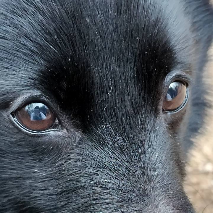 10bdbd88 45e5 4aef 97cf 23cba2e9ab50 1709849618315