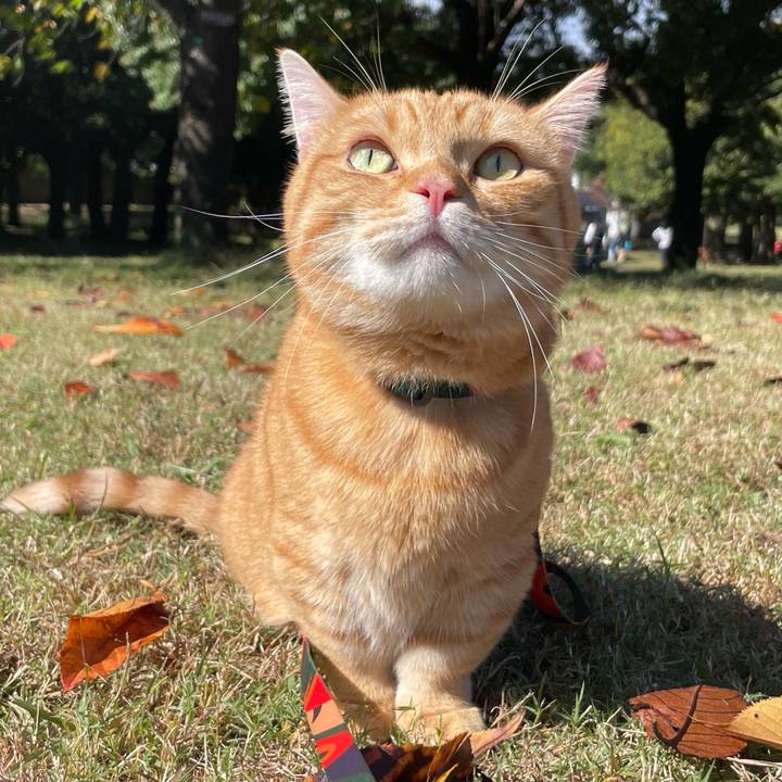 10bdea0e 8b11 48e2 8c57 a5556911c697 1762320958268