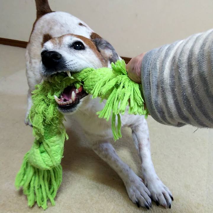 10be1a6c 9320 48a8 9298 13c5e8c1d6d6 1551306160253