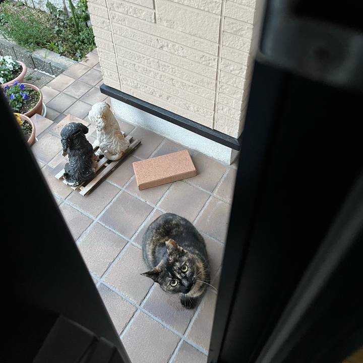 10be201c 05ed 46ff a47b 4964b9ceeda2 1676196476807