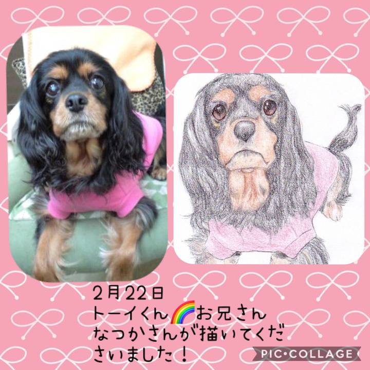 10be2765 efcf 4022 92db 72970b4c30eb 1550916003799