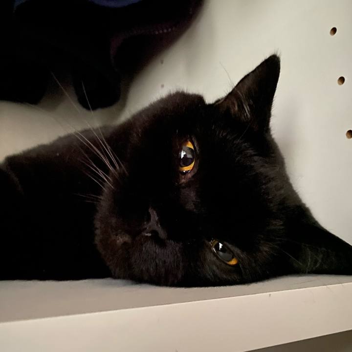 10be3e38 0d23 4348 9ee9 9b2ca6602b32 1695033330816