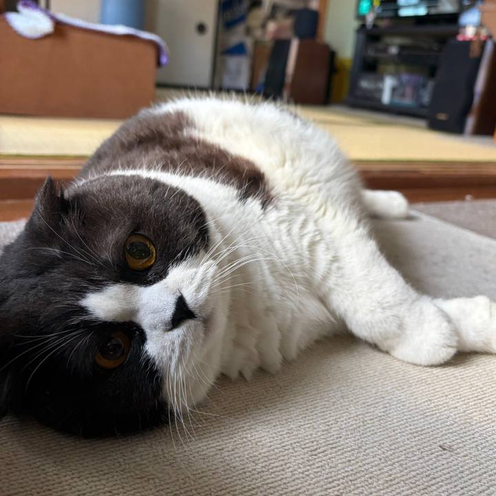 10be4da1 8024 4d7f 8d21 6fccef1953f4 1763527108431