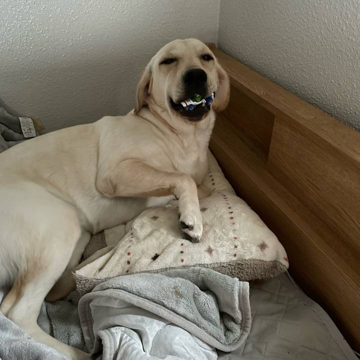 10be52c6 920c 417b bf87 7325b587e4f3 1642636754245