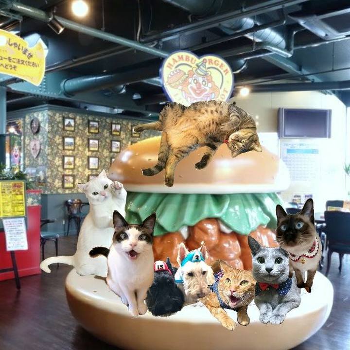 10bed3d9 e43e 496b 8a05 f33d3e08df66 1525582261739