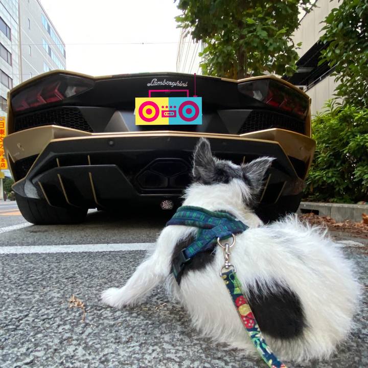 10bee37f 1aa9 46a1 abb6 6c86115f917c 1598661925266