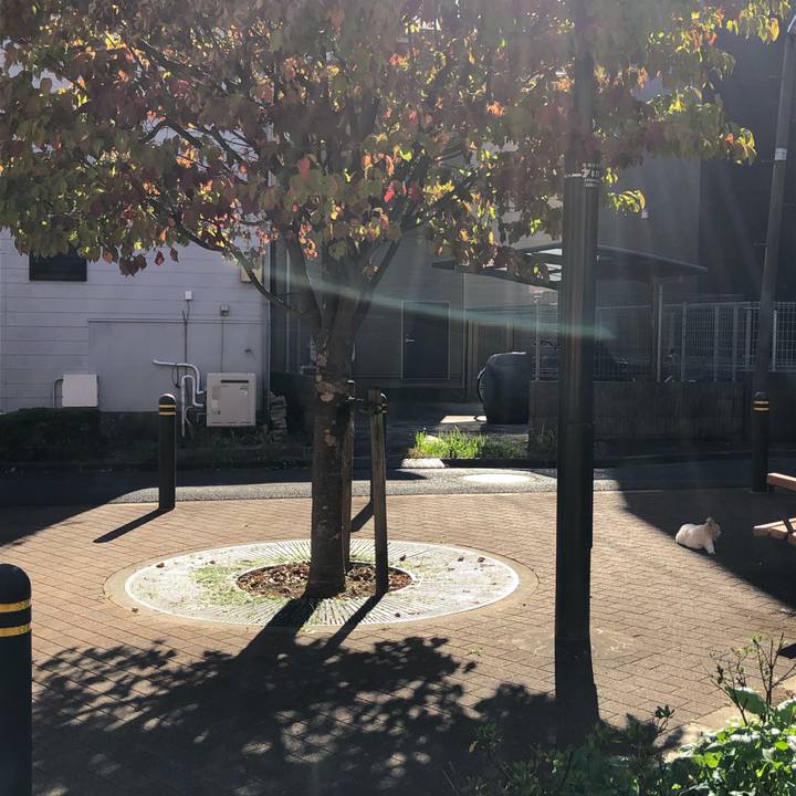 10bf05b4 1479 4c5e a623 47d72dc48ea3 1604631545521