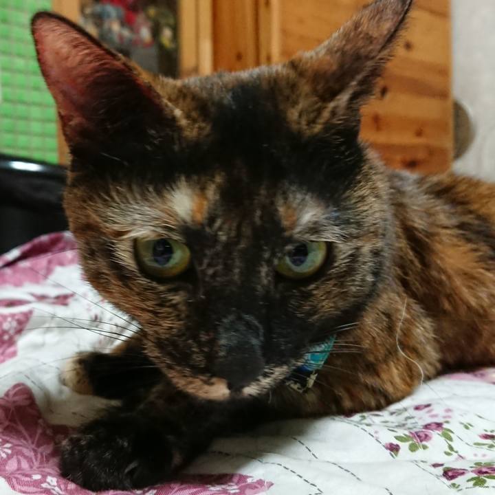 10bf3659 e995 422c 8d5b dcaef74c59a7 1549512617787