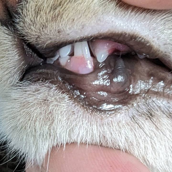 10bf55a5 fa61 45a5 ba63 d74f81fb169f 1708664016625