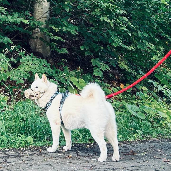 10bf7dab 638e 41d0 a4ac 988d71a1566a 1719968462975