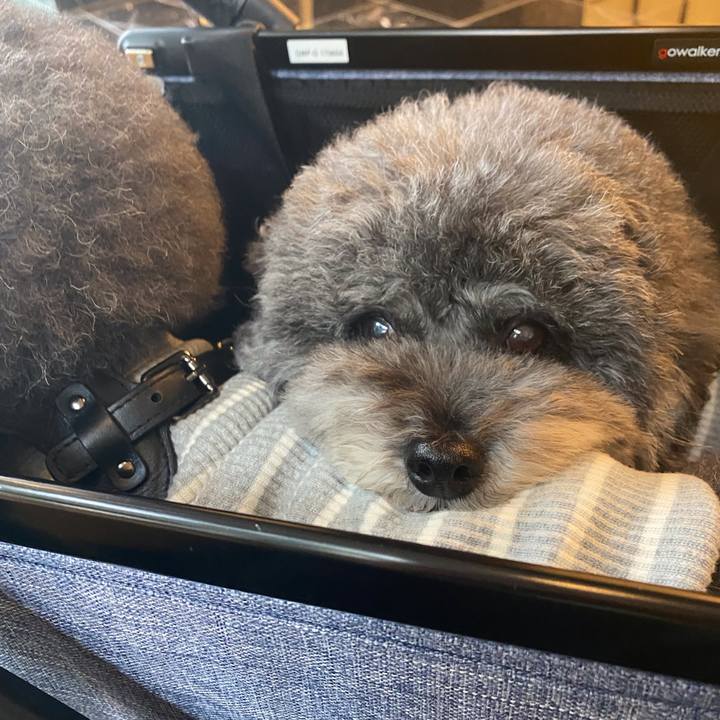 10bfd765 5c45 441d 983f abc7ee301e1c 1634856497840