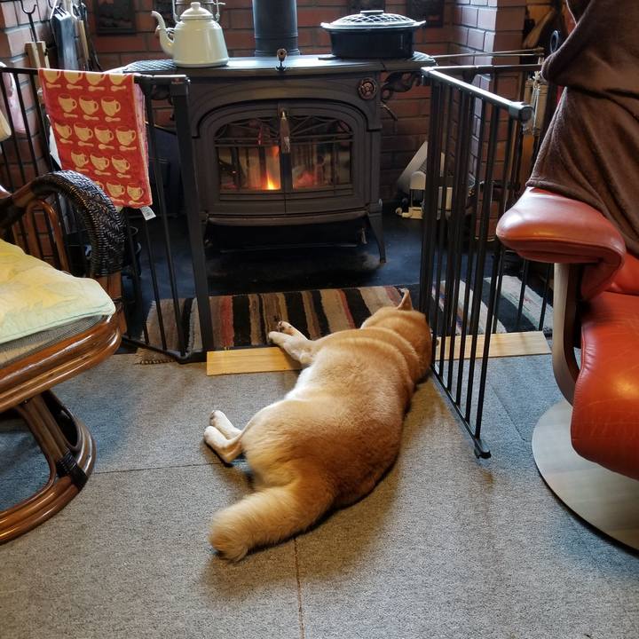 10bfd7bd 3abf 429e b962 c1d2b39f8402 1605999785542