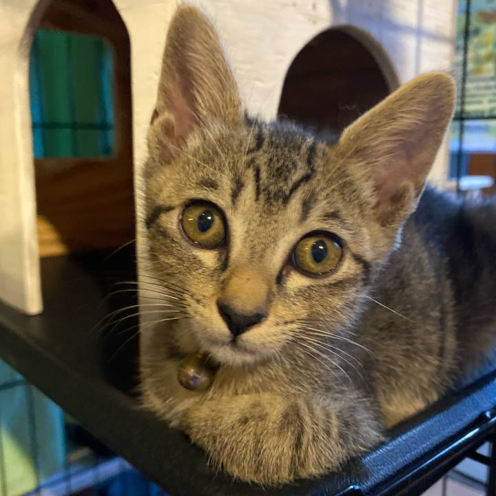 10c034d8 b265 4bad 8536 81d3243a6f44 1721731006472