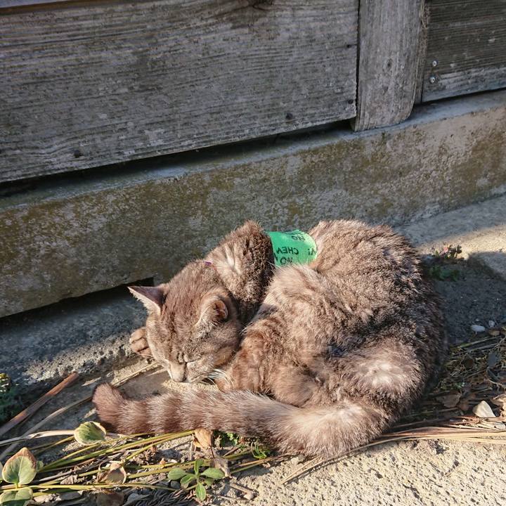 10c08f07 f3d4 4b65 91db afcbb5b780bc 1587021717233