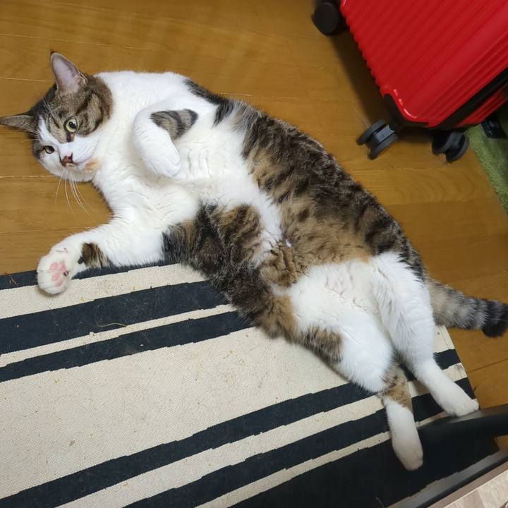 10c0918e f611 446f 92f5 934f475ba75c 1723986560565