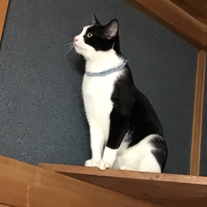 10c0944f e579 4469 b2d7 bb017ad1627d 1665391276220