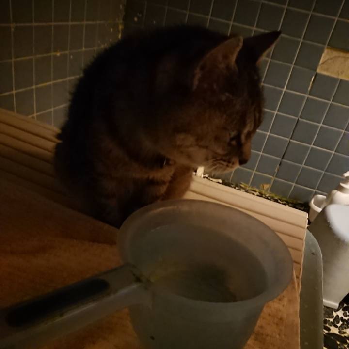 10c0c32b 3aa8 46f1 8113 9a725525f701 1570353460226