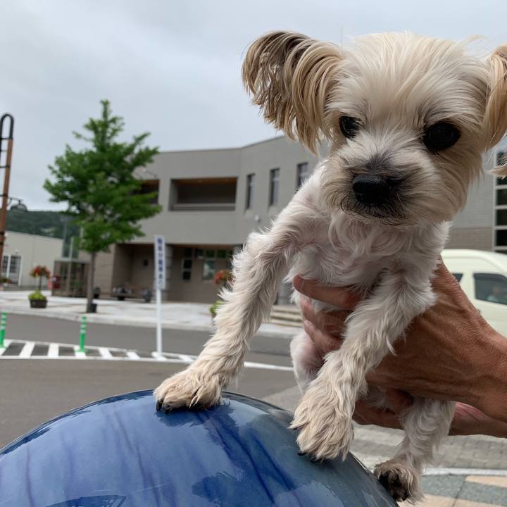 10c0c840 8a32 45d3 8072 e08d3043e923 1565688105169