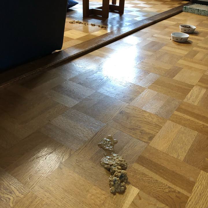 10c0cbb4 d262 49aa ad08 83d6f12b0f50 1559251195020