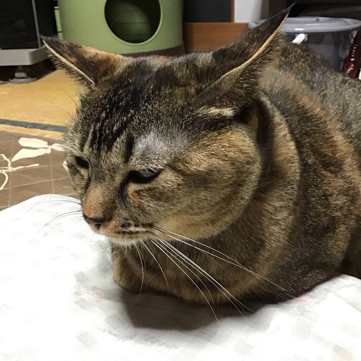 10c12308 5007 445e ab14 f0ffdd1c1347 1733909350624