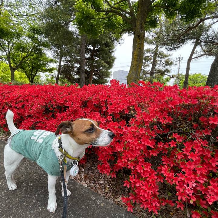 10c13149 f2ff 4c7b 9c62 80f1affedcbe 1651932367502