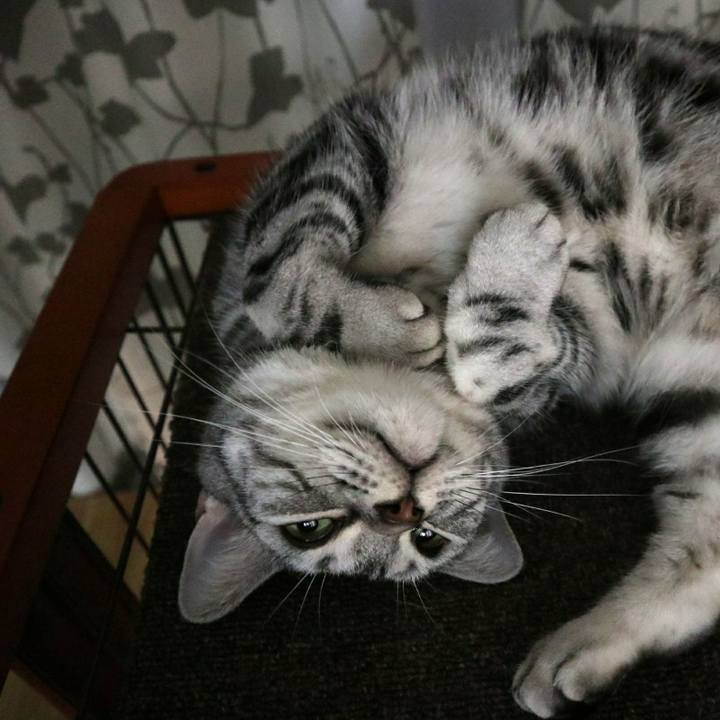 10c13bbf d833 4236 b099 7c01b14ad84d 1603883074972