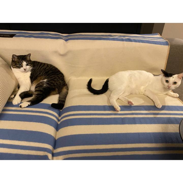 10c18638 4b99 430f 9ee6 17c804303d3c 1729811195755