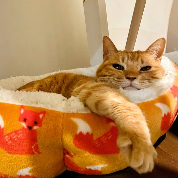 10c1ca45 ca13 4da1 adc0 4cb32c94a859 1739175639288