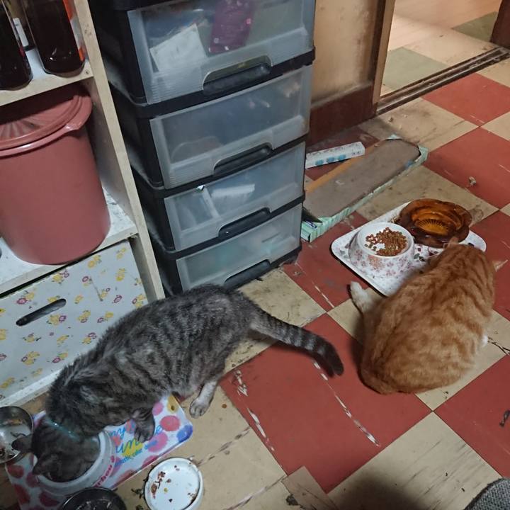 10c1eb1d c91e 4762 9203 d21ba8a7a762 1567111379393