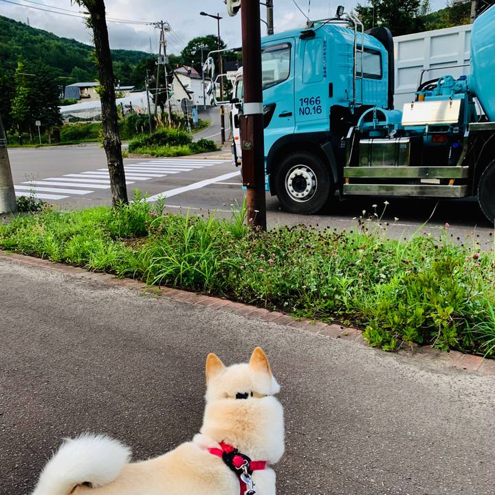 10c1f095 6aef 4e23 a62c ed4acfbb7f4c 1568411700230