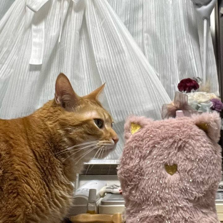 10c204ba bda3 454e b355 13b4efb93036 1671362628845