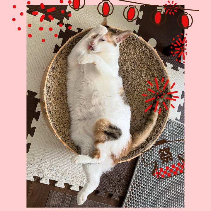 10c238f0 75d7 47b9 8aeb 924bef293e37 1756639358165