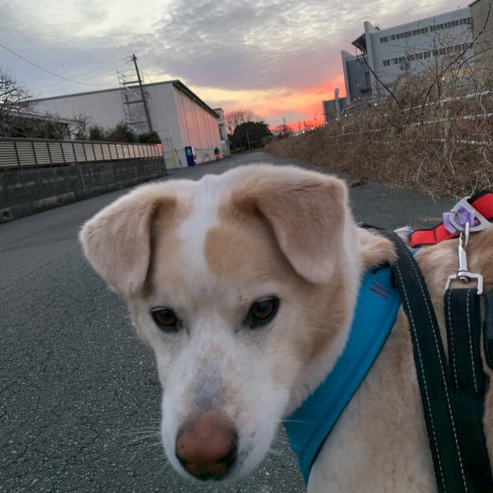 10c27d9a e19e 4947 a634 aba2839745e8 1645615060058